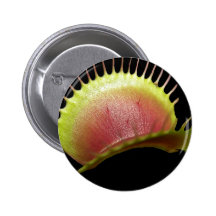 venus fly trap button