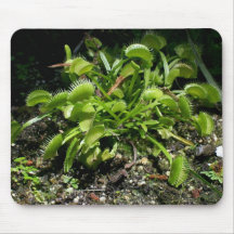 Venus Fly Trap Mouse Mats