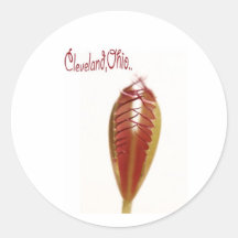 venus-fly-trap round stickers