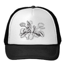 Venus Flytrap Hat