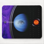 VENUS PERSUATION
