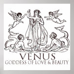 Venus Print