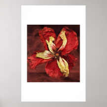 Venus Reborn Print