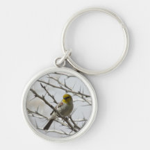 Verdin in a Prickly Perch Key Chains