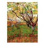 Verger dans la fleur, Vincent van Gogh Carte Postale