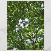 Verger des arbres contre le ciel prospectus