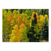 Verger du Colorado Aspen Cartes