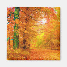 Vermont Autumn Fridge Magnet