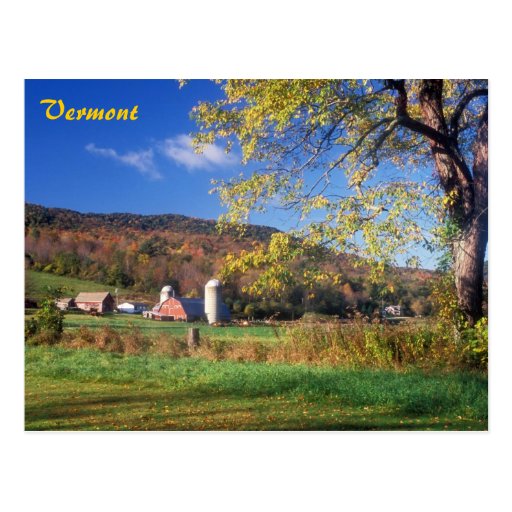 Vermont Farm Post Card