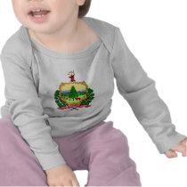 Vermont Flag Theme 00 T Shirts