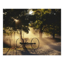 Vermont, Northeast Kingdom, Sunlight falling Art Photo