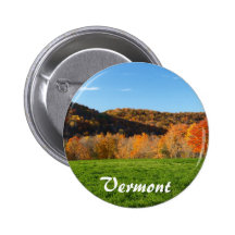 Vermont Pins