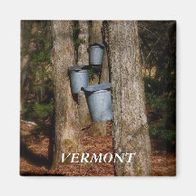 Vermont Sap Buckets Refrigerator Magnet
