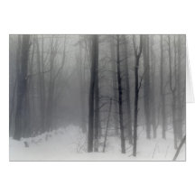 Vermont Snowy Woods holiday card
