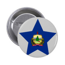 Vermont Star Pin