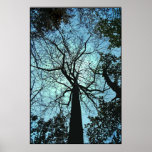 Vers le haut de l'arbre affiche