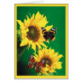 Verse - Butterflies of Summer 2 Greeting Cards