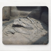 Versteinerung Mauspads