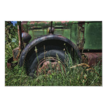 Vert allant photographies