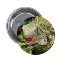 Vert d'iguane badges