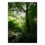 Vert et lumière cartes de vœux