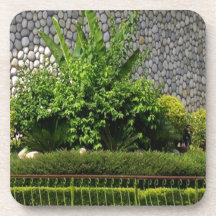 Vert parfait d'image : Mur à feuillage persistant  Sous-bocks