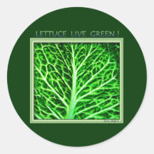 VERT VIVANT DE LAITUE AUTOCOLLANTS