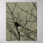 Vertical Canvas Print: Little Bird