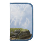 Very Large Alligator Organizers