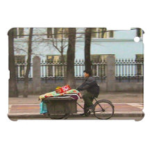 Very mixed load case for the iPad mini
