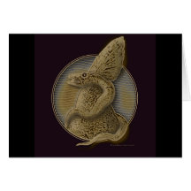 Vesquar - Card
