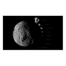 Vesta and Asteroid Gallery Business Card