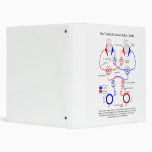 Vestibulo Ocular Reflex VOR Eye Movement Stabilize 3 Ring Binder