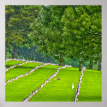 Veteran Hero American Flag Military Tribute Poster