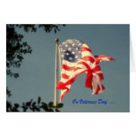 Veterans Day, Thank You -  Military Greeting Card