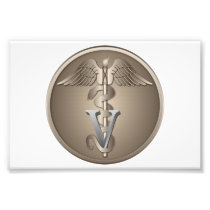 Veterinarian Caduceus Art Photo