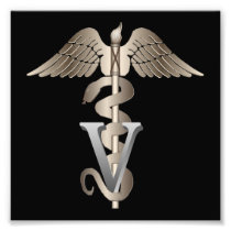 Veterinarian Caduceus Photograph
