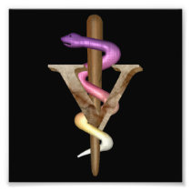 Veterinarian Emblem Art Photo