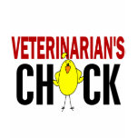 Veterinarian's Chick t-shirts