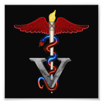 Veterinary Caduceus Photo Art