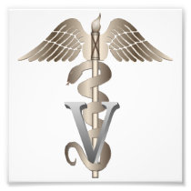 Veterinary Caduceus Photo Art