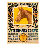 Veterinary Corps Post Card