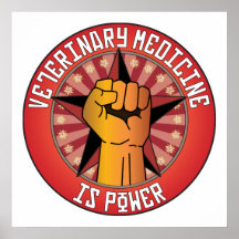 Veterinary Medicine Is Power Print