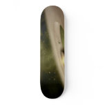 VEX 21 skateboards
