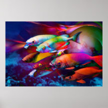 VIBRANCE POSTERS
