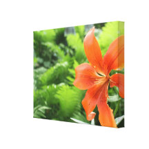 Vibrant Orange Lily and Foliage Canvas Print