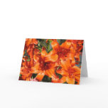 Vibrant Orange Tiger Lilies Cards