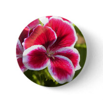 Vibrant pink geraniums