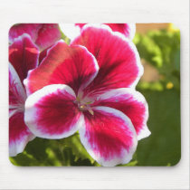 Vibrant pink geraniums mouse pads