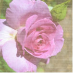 Vibrant Pink Rose Cut Outs